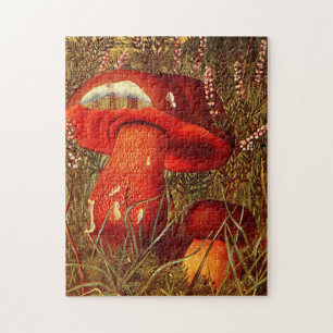 Quebra-cabeça Cogumelos Laranja Vintage - Boletus Luridus