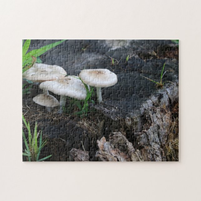 Quebra-cabeça Cogumelos na Natureza num toco de árvore mapeada (Horizontal)