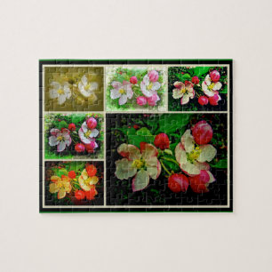 Quebra-cabeça Colagem de Flores de Maçã - Foto Digital Avançada