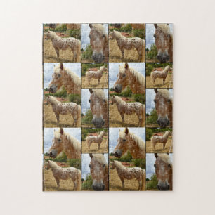 Quebra-cabeça Colagem de Fotos de Cavalos Appaloosa,