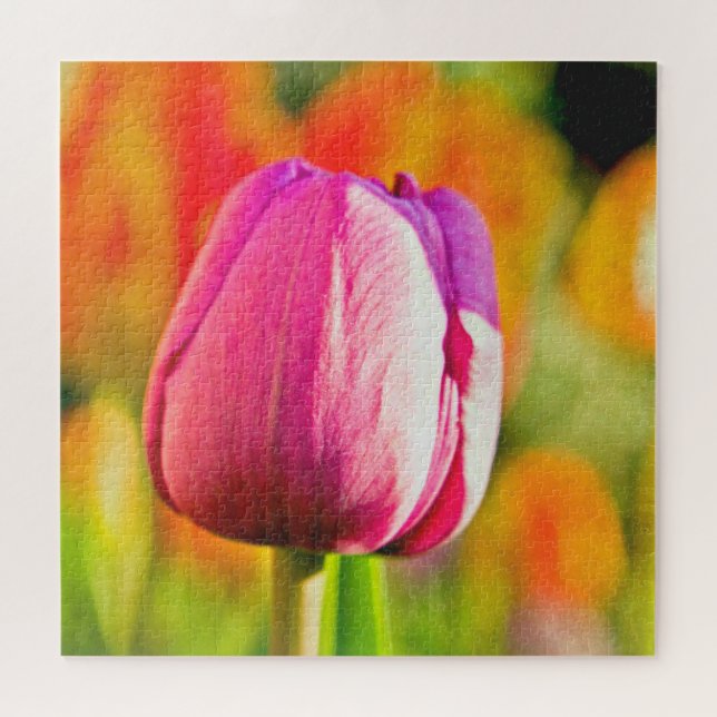 Quebra-cabeça Colagem de Tulip (Horizontal)