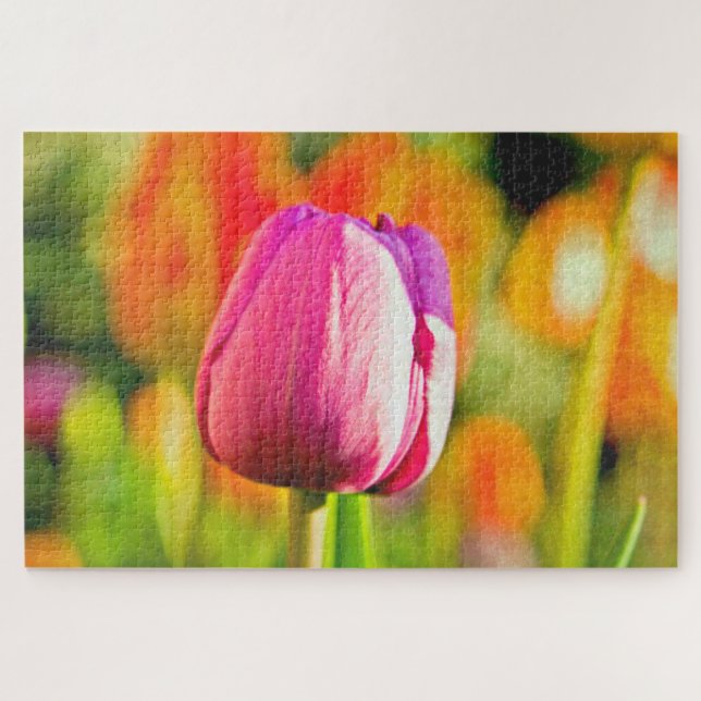 Quebra-cabeça Colagem de Tulipas (Horizontal)