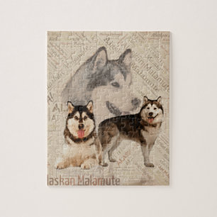 Quebra-cabeça Colagem do Malamute do Alasca no teste padrão da