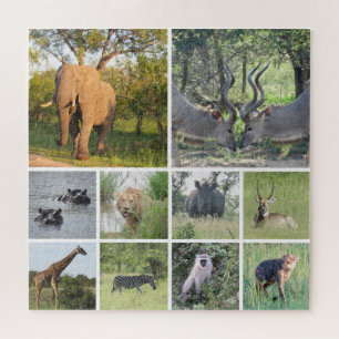 Quebra-cabeça colagem safari