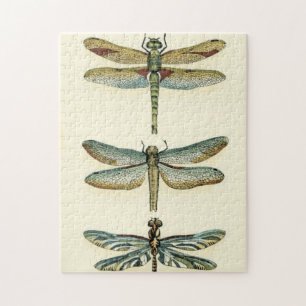 Quebra-cabeça Coleção de Dragonfly por Chariklia Zarris