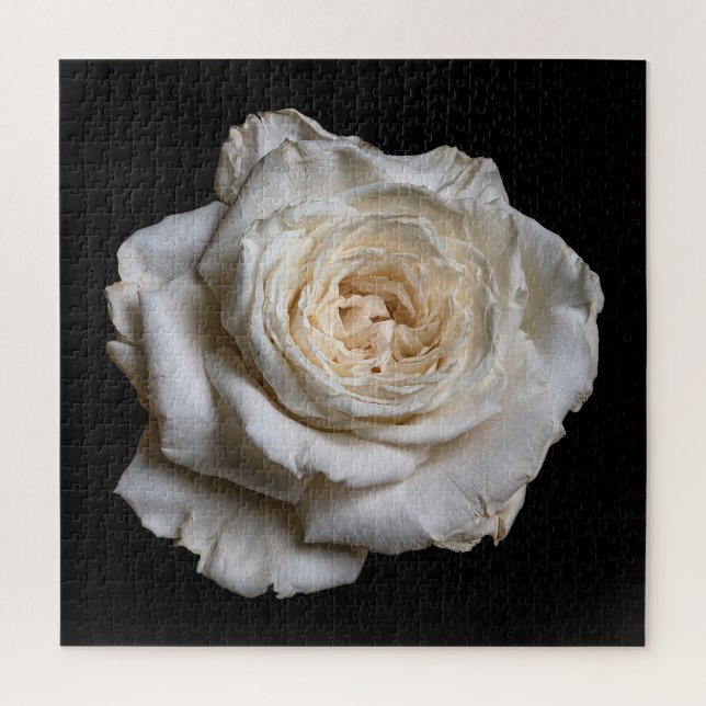 Quebra-cabeça Coleção Elegante Rosa em Preto (Vertical)