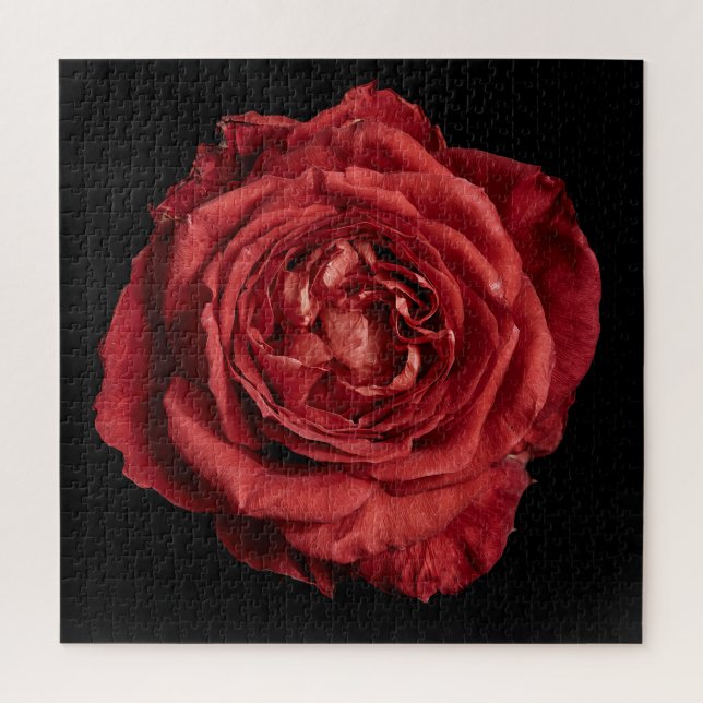 Quebra-cabeça Coleção Elegante Rosa em Preto (Vertical)