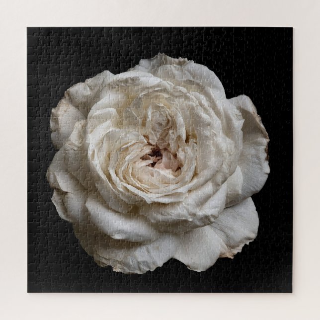 Quebra-cabeça Coleção Elegante Rosa em Preto (Vertical)