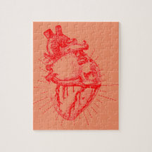 Coleção vermelha & branca do coração anatômico