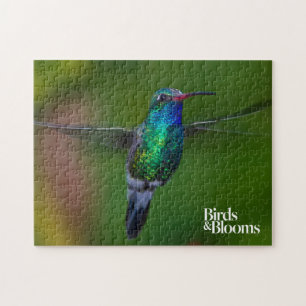 Quebra-cabeça Colibri de flutuação