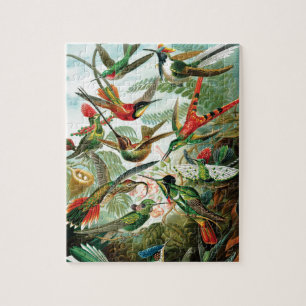 Quebra-cabeça Colibris por Ernst Haeckel