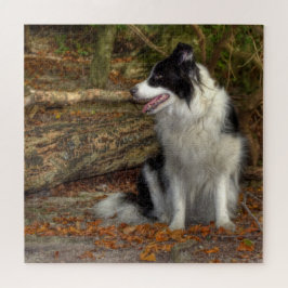 Quebra-cabeça Collie na Floresta 676 Peças