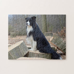 Quebra-cabeça Collie Preto e Branco