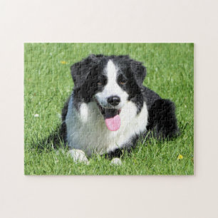 Quebra-cabeça Collie Preto e Branco