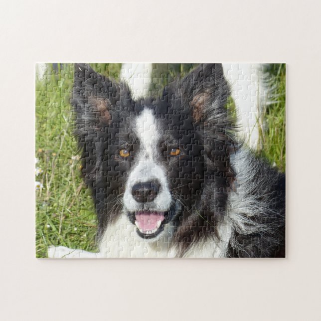 Quebra-cabeça Collie Preto e Branco (Horizontal)