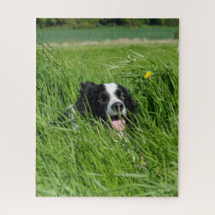 Quebra-cabeça Collie Preto e Branco na Grama