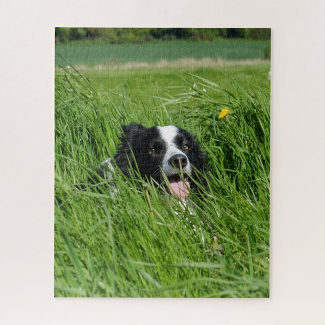 Quebra-cabeça Collie Preto e Branco na Grama (Vertical)