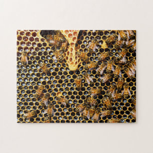 Quebra-cabeça Colmeia de Abelhas com Honeycomb Próximo