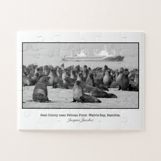 Quebra-cabeça Colônia de Focas perto de Pelican Point (Horizontal)
