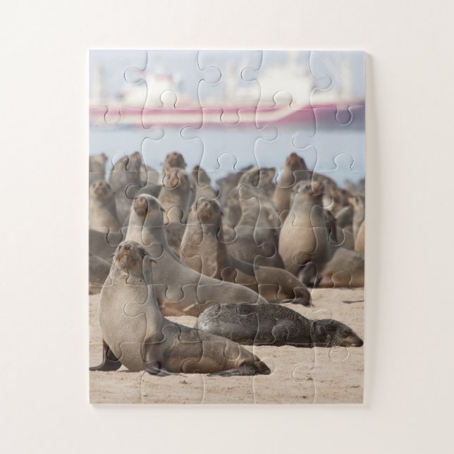 Quebra-cabeça Colônia de Focos de Cabo (Vertical)