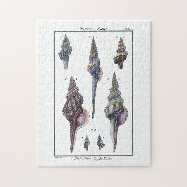 Quebra-cabeça Coloridos Sete Caivotas (Vertical)