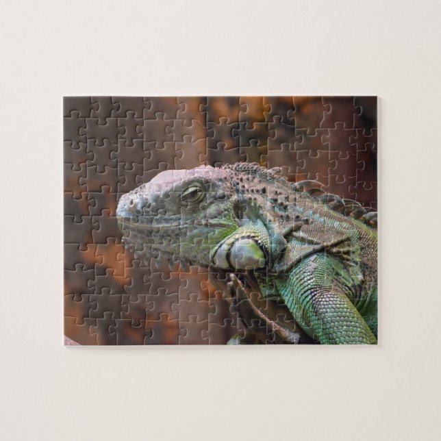Quebra-cabeça com lagarto Iguana colorido (Horizontal)