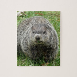 Quebra-cabeça Comer de Groundhog