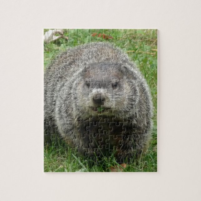 Quebra-cabeça Comer de Groundhog (Vertical)