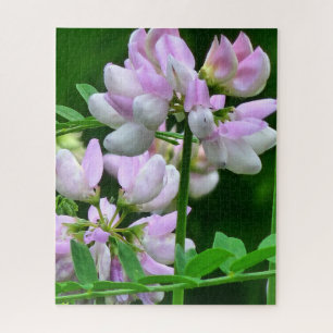 Quebra-cabeça Compartimentos de Flor Cor-de-Rosa e Branco