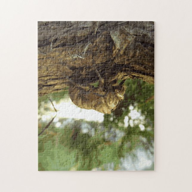 Quebra-cabeça Concha de Cicada. Estava com pressa. (Vertical)