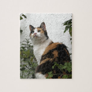 Quebra-cabeça Concha de tartaruga e gato branco