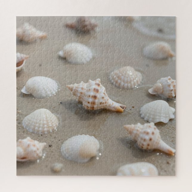 Quebra-cabeça Conchas Delicadas Praia Serenidade (Vertical)