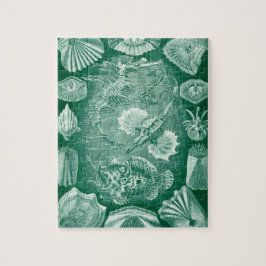 Quebra-cabeça Conchas e Peixes Teleostei Antigos por Ernst Haeck