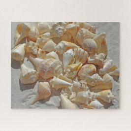 Quebra-cabeça - Conchas Na Praia