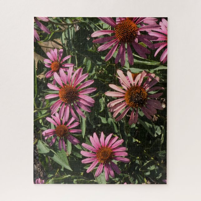 Quebra-cabeça Coneflowers (Vertical)