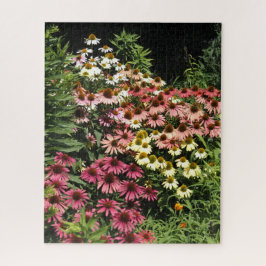 Quebra-cabeça Coneflowers