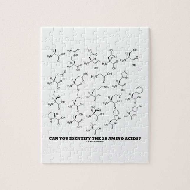 Quebra-cabeça Consegue Identificar Os 20 Aminoácidos? (Química) (Vertical)