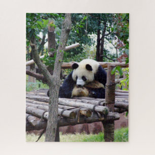 Quebra-cabeça Conselhos de Panda - Sem depressão, se você tem