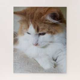 Quebra-cabeça Contemplação do Gatinho (Rico Felino): Foto Cat