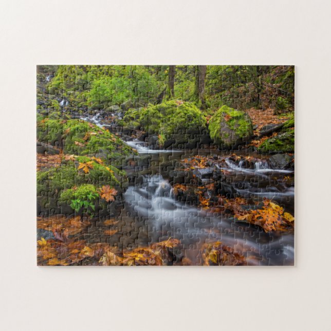 Quebra-cabeça Cor do outono ao longo da Starvation Creek Falls (Horizontal)