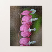 Coração bonito Hemorragia