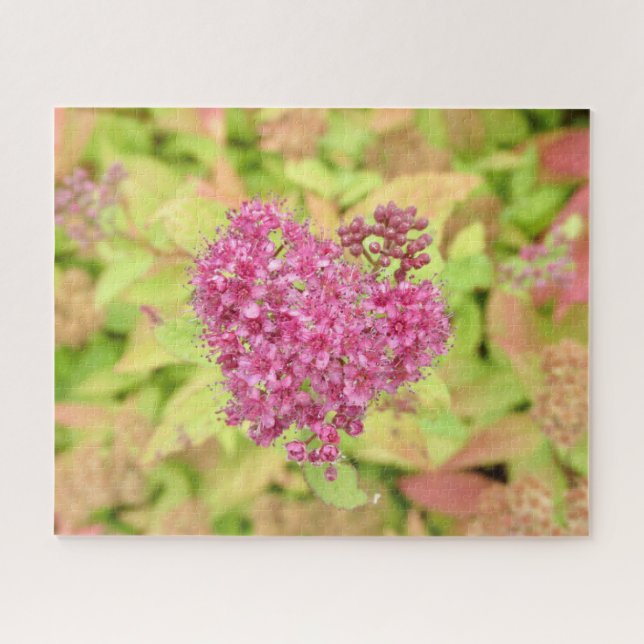 Quebra-cabeça Coração Flor Natural - perfurado pela seta. (Horizontal)