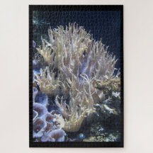 Coral branco pálido vivo na água do oceano escuro