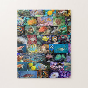Quebra-cabeça Coral Reef Marine Photo Collage, 8 anos, 252 peças
