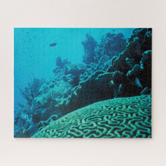 Quebra-cabeça Coral Reef Oasis