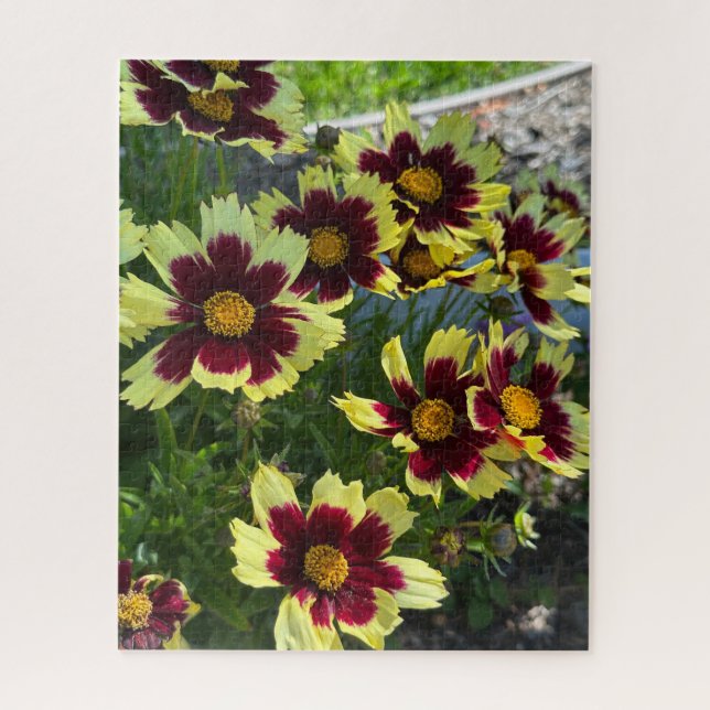 Quebra-cabeça Coreopsis Burgundy e Amarelo, San Mateo (Vertical)