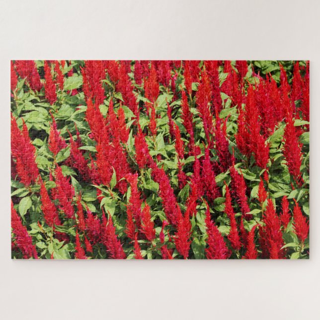 Quebra-cabeça Cores 1 (Horizontal)