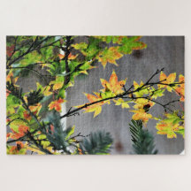 Cores de queda da árvore de mapeamento