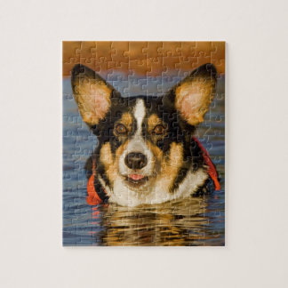 Quebra-cabeça Corgi bonito
