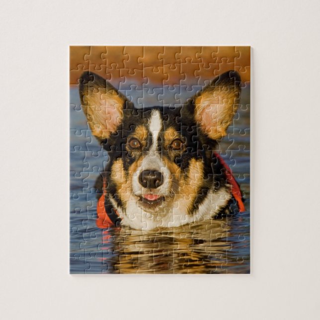 Quebra-cabeça Corgi bonito (Vertical)